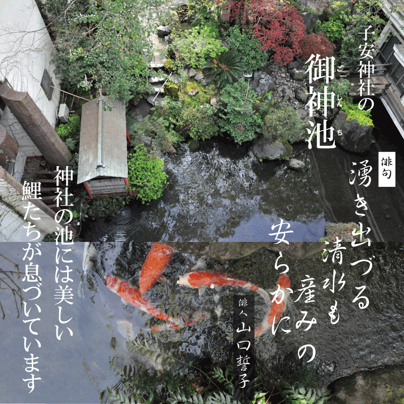 ご朱印 子安神社 公式サイト ご朱印 子安神社 公式サイト